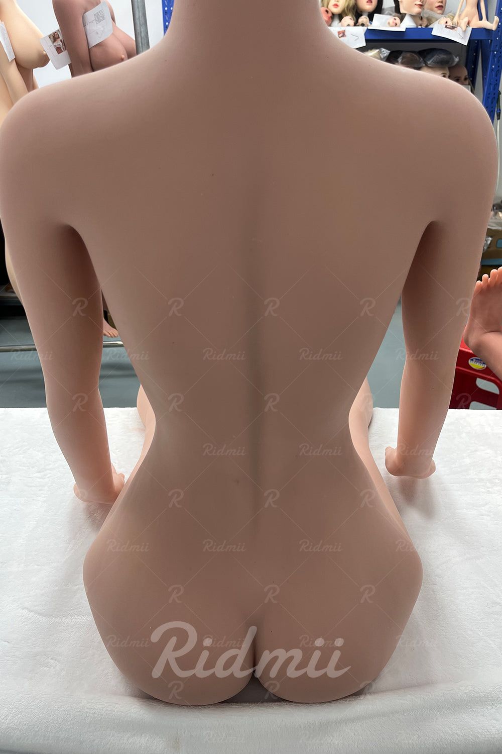 Picture of RIDMII Liza Plus II Unique Design 5'4 FT (166cm) Most Realistic Adult Sex Doll with Silicone Head TPE Body and Real Oral Sex [In Stock | EU Only]