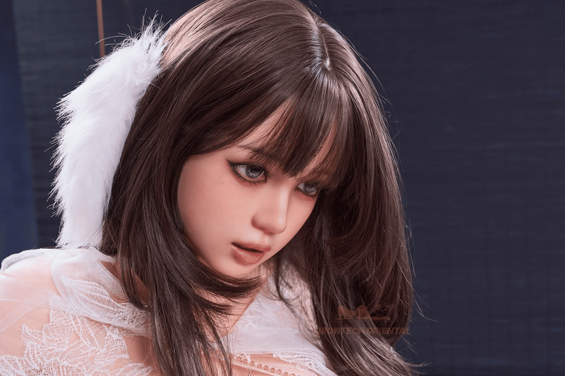 Picture of Irontech Dolls Full Silicone Sex Doll E-CUP161cm/5ft3 T3 ROS MAX Silk Glow Oriental Series Nia