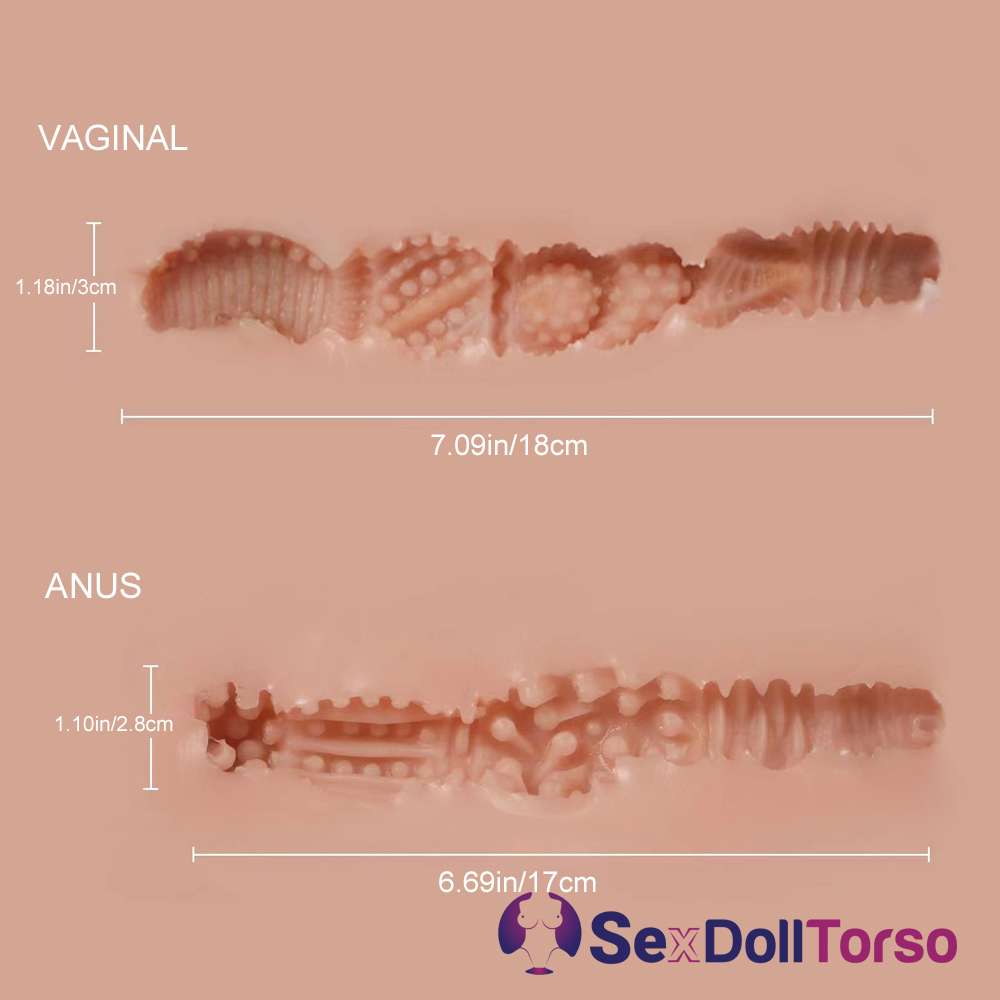 Picture of Torso Sex Doll Valenti: (40LB) Super Soft Gel Breasts Sex Doll